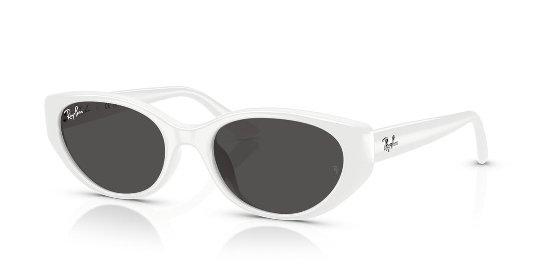 Ray-Ban UNISEX