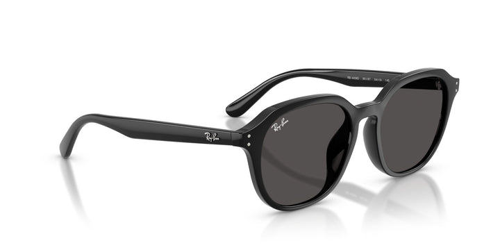Ray-Ban UNISEX