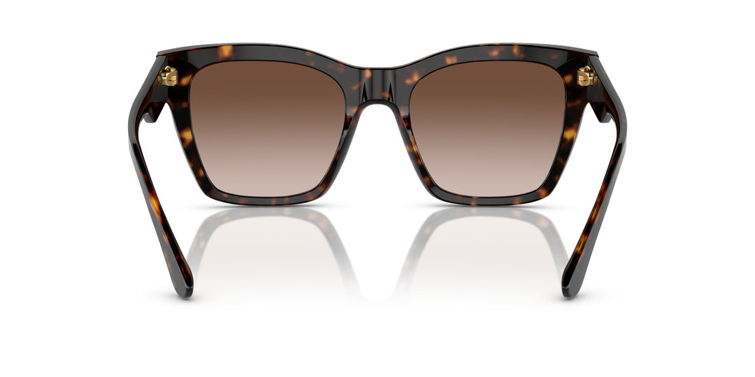 DOLCE & GABBANA 0DG4384 502/13