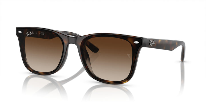 Ray-Ban UNISEX
