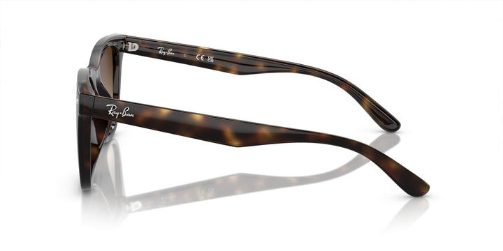 Ray-Ban UNISEX