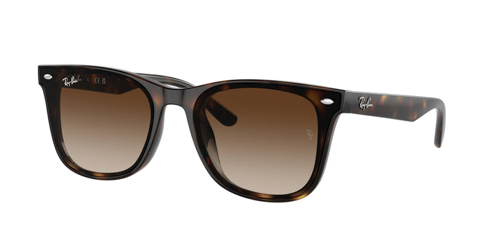 Ray-Ban UNISEX