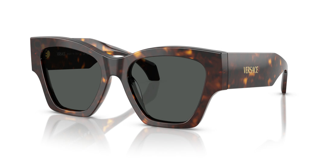 VERSACE 0VE4492U 108/87
