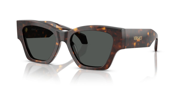 VERSACE 0VE4492U 108/87