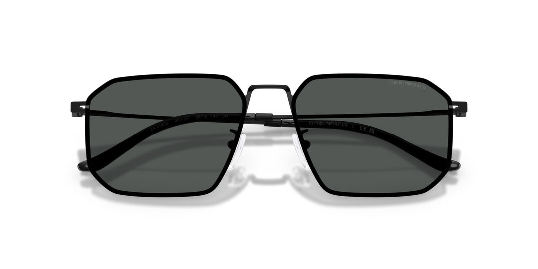 Emporio Armani 0EA2165D 300187
