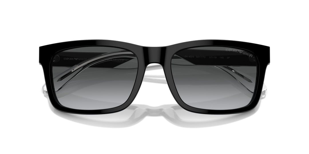 Emporio Armani 0EA4224 5017T3