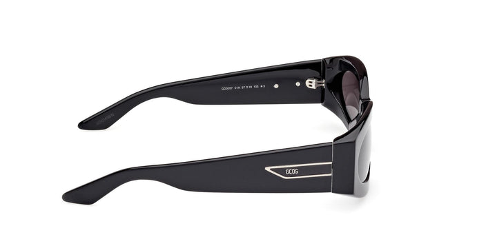 GCDS Geometrico