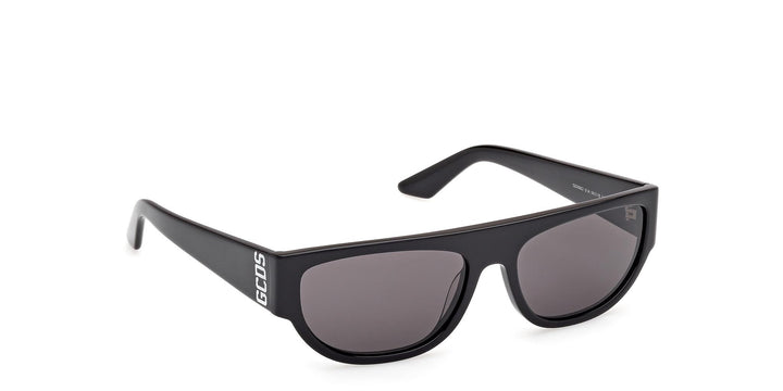 GCDS Geometrico