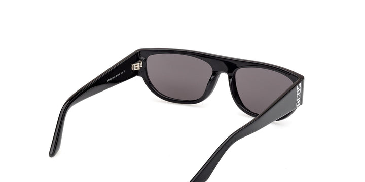 GCDS Geometrico