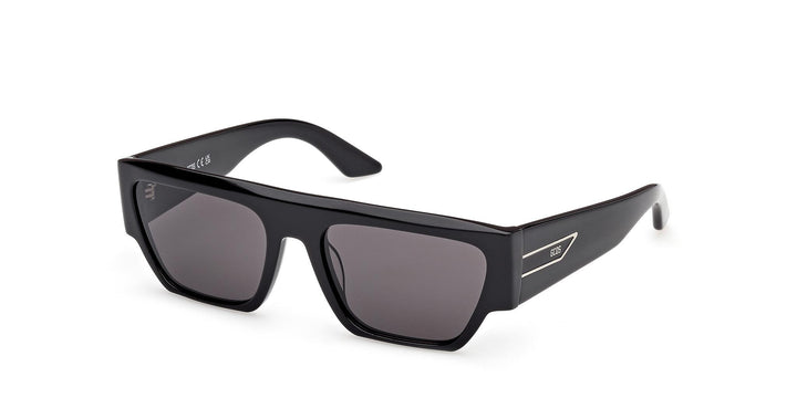 GCDS Geometrico