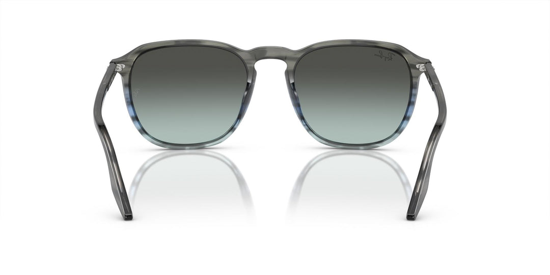 Ray-Ban 0RB2203 1391GK