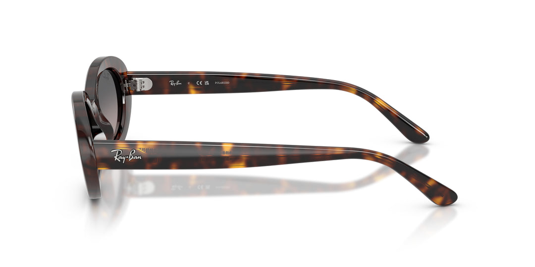 Ray-Ban 0RB2223 902/M3