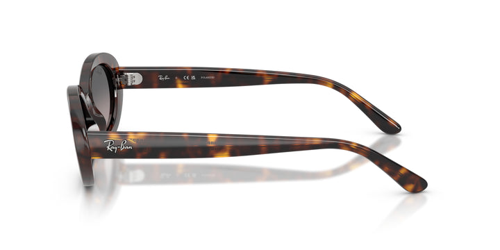 Ray-Ban 0RB2223 902/M3
