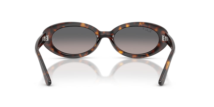 Ray-Ban 0RB2223 902/M3
