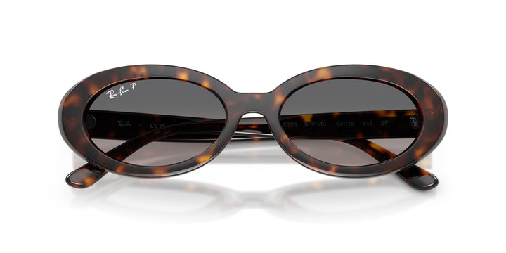 Ray-Ban 0RB2223 902/M3