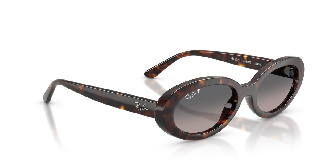 Ray-Ban 0RB2223 902/M3
