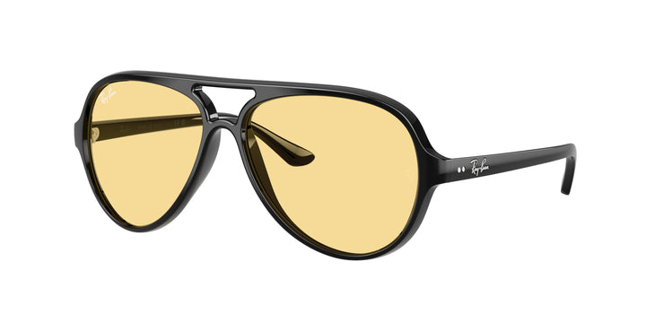 Ray-Ban Cats 5000