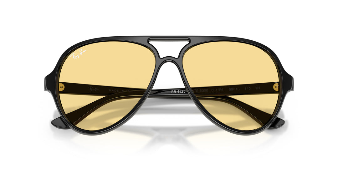 Ray-Ban Cats 5000