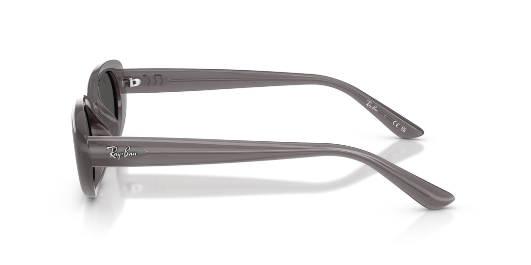 Ray-Ban 0RB4441D 677787
