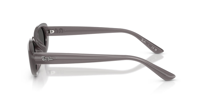 Ray-Ban 0RB4441D 677787