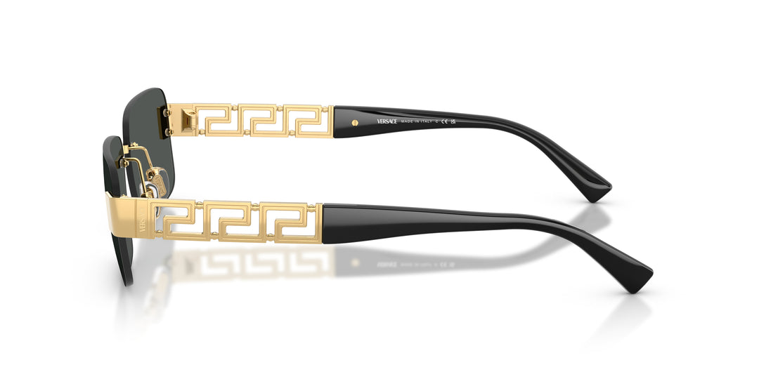 VERSACE 0VE2298 100287
