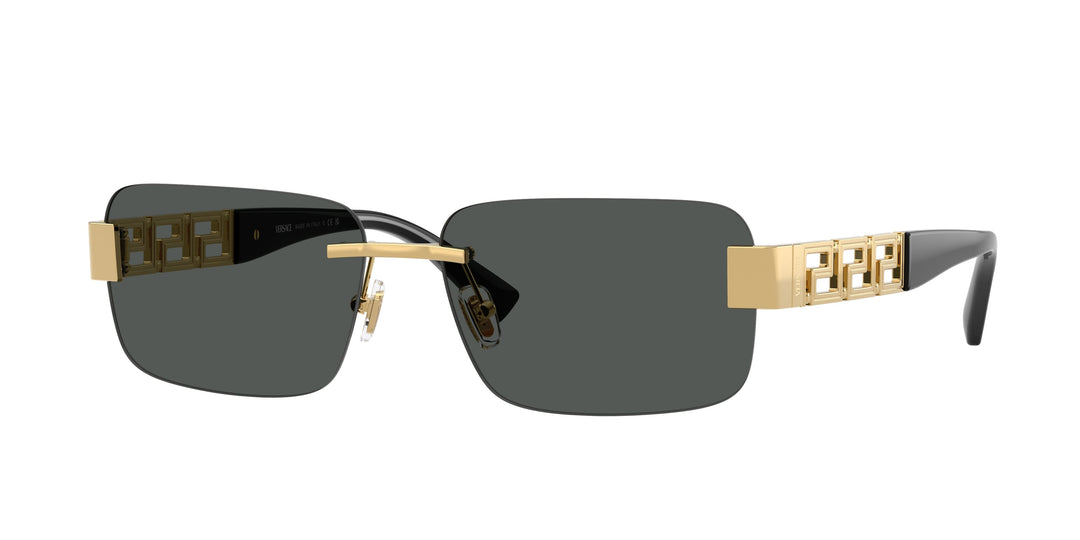 VERSACE 0VE2298 100287