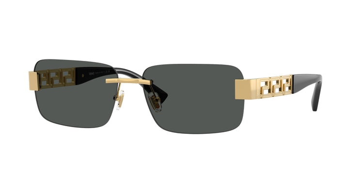 VERSACE 0VE2298 100287
