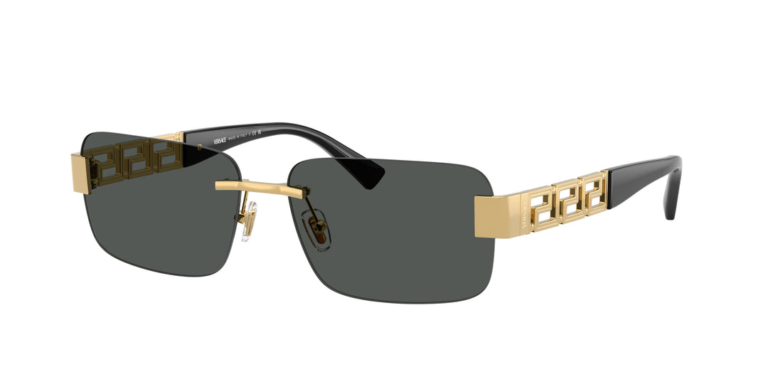 VERSACE 0VE2298 100287